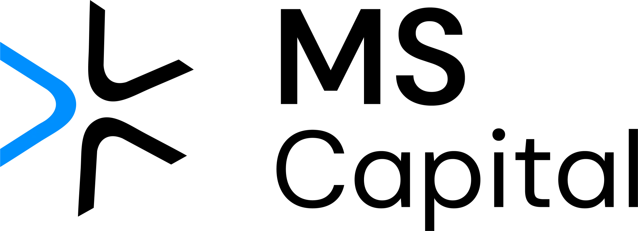 MS Capital